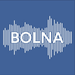 Bolna AI